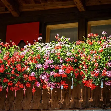 فندق Sonnenhalde, 3*