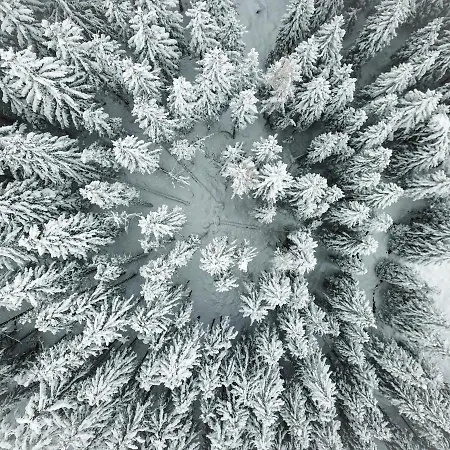 Отель Sonnenhalde,